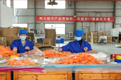 天貓雙11開(kāi)門(mén)紅 產(chǎn)業(yè)帶爆發(fā)式增長(zhǎng)，7個(gè)產(chǎn)地首小時(shí)銷(xiāo)售額破億，日用百貨引領(lǐng)消費(fèi)熱潮